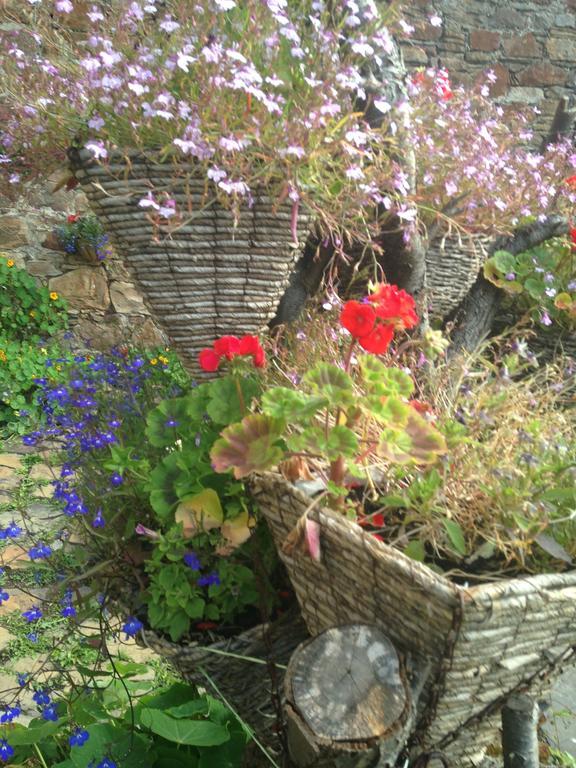 Belstane House Bed & Breakfast Cellardyke Luaran gambar